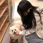 我的星座女神游戏下载